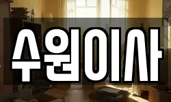 수원이사