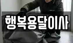 행복용달이사