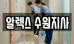 알렉스 수원지사