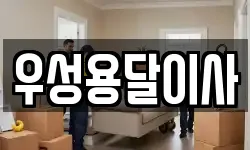 우성용달이사