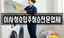 이사청소입주청소전문업체