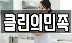 클린의민족