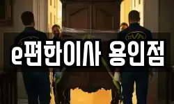 경기도 용인시 기흥구 보라동 이사,용달이사,포장이사,원룸이사,보관이사