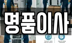 명품이사