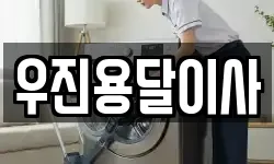 우진용달이사