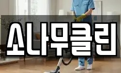 소나무클린