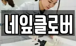 네잎클로버