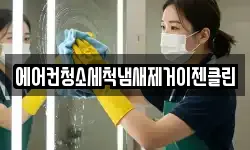 에어컨청소세척냄새제거이젠클린