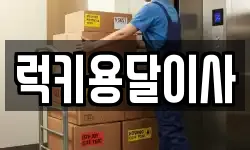 럭키용달이사