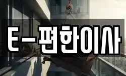 E-편한이사