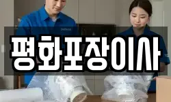 평화포장이사