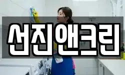 선진앤크린