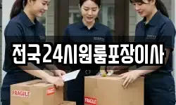 전국24시원룸포장이사