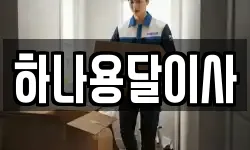 하나용달이사