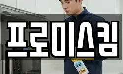 프로미스킴
