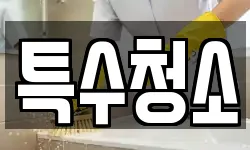 특수청소