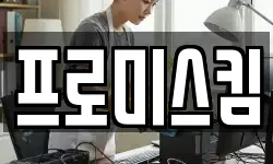 프로미스킴