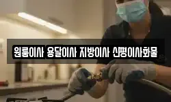 원룸이사 용달이사 지방이사 신평이사화물