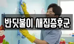 경기도 용인시 처인구 남동 청소,입주청소,사무실청소,에어컨청소