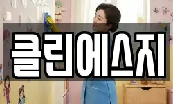클린에스지