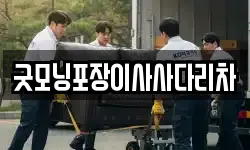 굿모닝포장이사사다리차