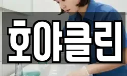 호야클린