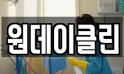 원데이클린