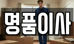 명품이사