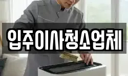 입주이사청소업체