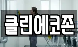 클린에코존