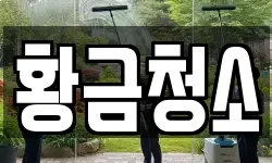 황금청소