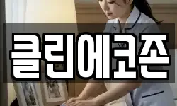 클린에코존