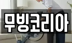 무빙코리아