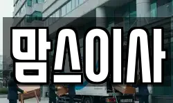 맘스이사