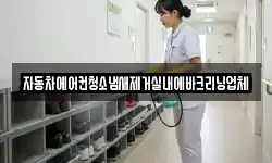 자동차에어컨청소냄새제거실내에바크리닝업체