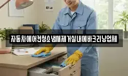 자동차에어컨청소냄새제거실내에바크리닝업체