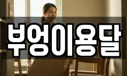 경기도 의왕시 초평동 이사,용달이사,포장이사,원룸이사,보관이사