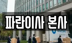 파란이사 본사