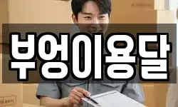 경기도 의왕시 학의동 이사,용달이사,포장이사,원룸이사,보관이사