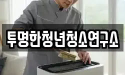투명한청년청소연구소