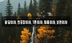 용달이사,반포장이사,1톤이사,원룸이사,보관이사