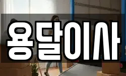 용달이사