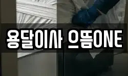 용달이사 으뜸ONE