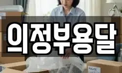 의정부용달