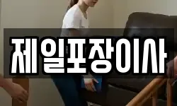 제일포장이사