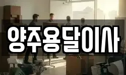양주용달이사