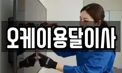 오케이용달이사