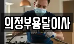 의정부용달이사
