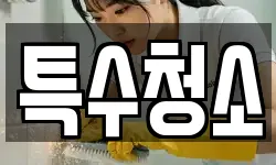 특수청소
