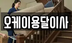 오케이용달이사